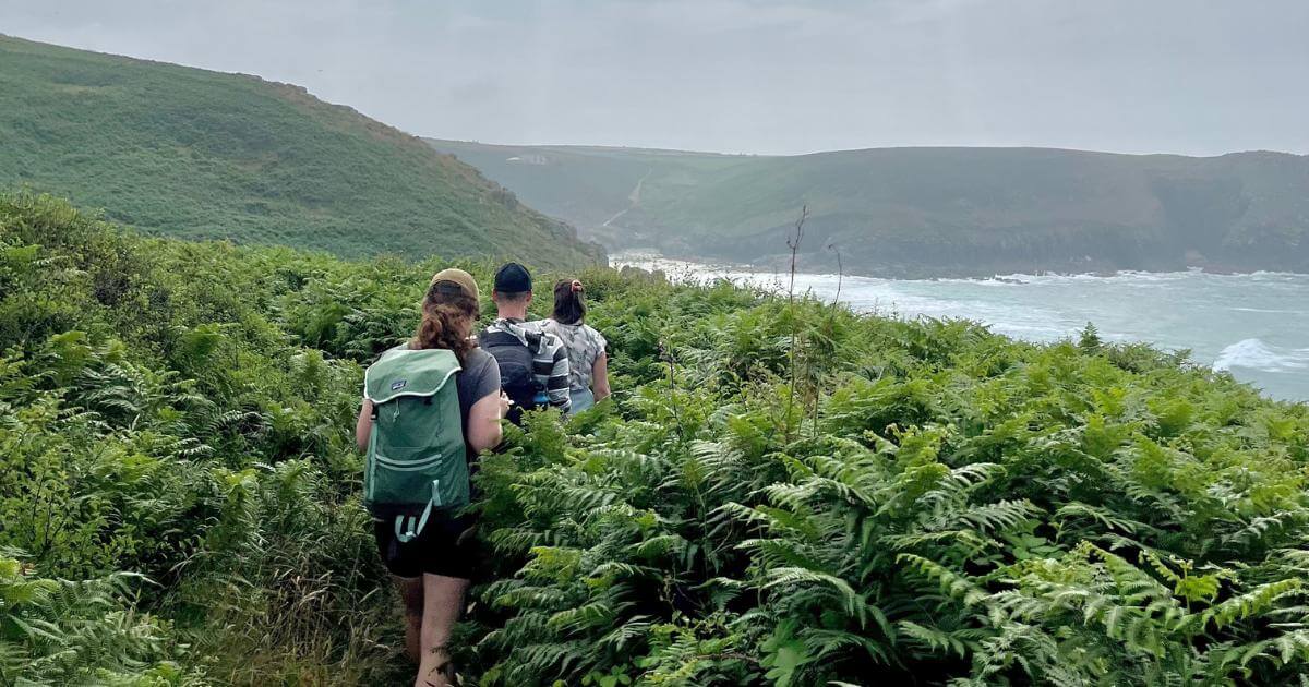3 people walk away from the camera into ferns surrounding Cornwall coast path